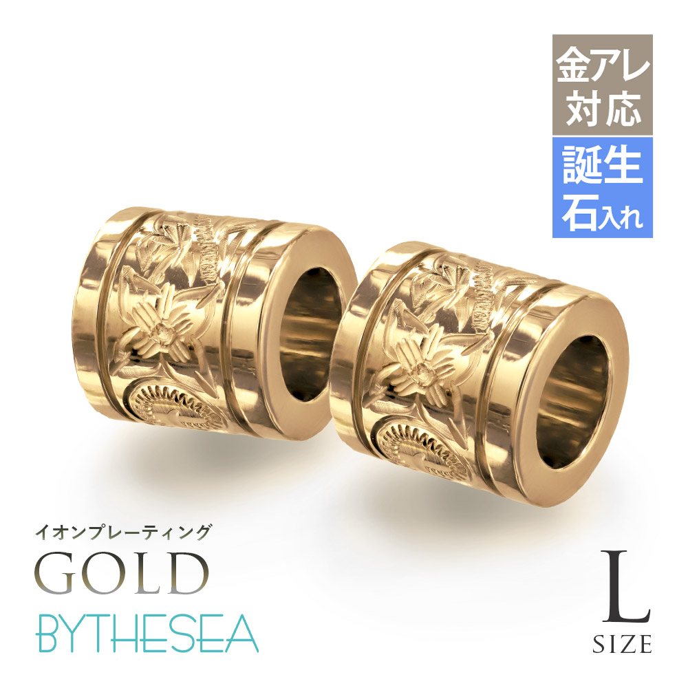 ハワイアンジュエリー 純チタン チューブ ペアペンダントトップのみ Lサイズ チェーン別売 TIP401L-RYP