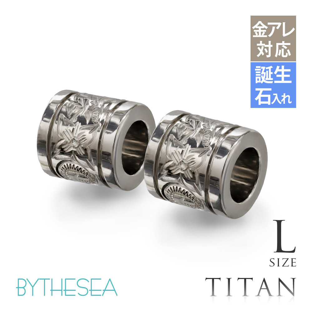 ハワイアンジュエリー 純チタン チューブ ペアペンダントトップのみ Lサイズ チェーン別売 TIP401LP