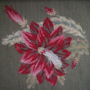 アンティークイギリスニードルワーク 紅花常磐万作 色糸刺繍 リネンクロシェクロス 楽天市場】RIOLISクロスステッチ刺繍キット No.807 「Dandelions