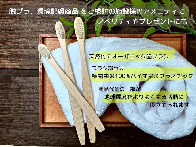 竹歯ブラシ 皮付きタイプ 入数：500 単価：75円| シンワアメニティ通販