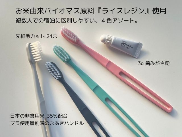電動歯ブラシ+粉歯磨き3ｇ+粉歯磨き20ｇ+替えブラシ2本セット 電動歯ブラシ+粉歯磨き3g+粉歯磨き20g+替えブラシ2本セット