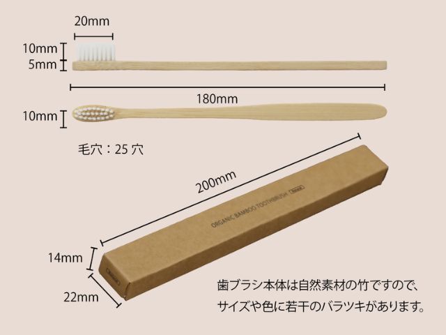 KiNARi 竹歯ブラシ 平型 天然【歯磨き粉なし】 入数：800 単価：40円