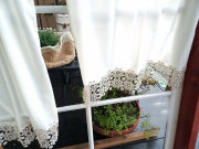 【縦45cm】アイボリー『播州織　綿カフェカーテン』人気のお花レース付　コメット*当店オリジナル
