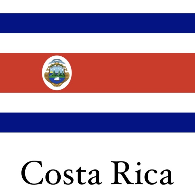 コスタリカ 　エル・アルト　シティロースト　200g