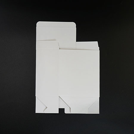 バガスギフトボックス 森林認証紙 白