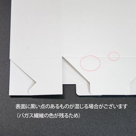 バガスギフトボックス 森林認証紙 白