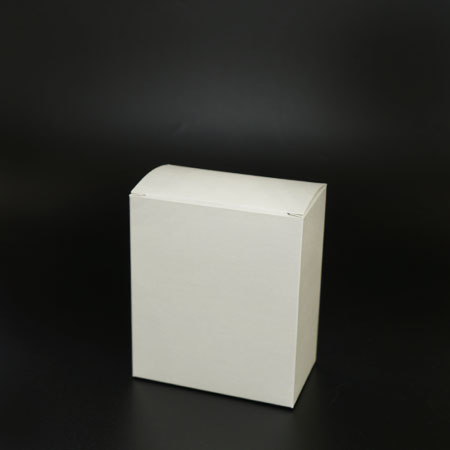 バガスギフトボックス 森林認証紙 白