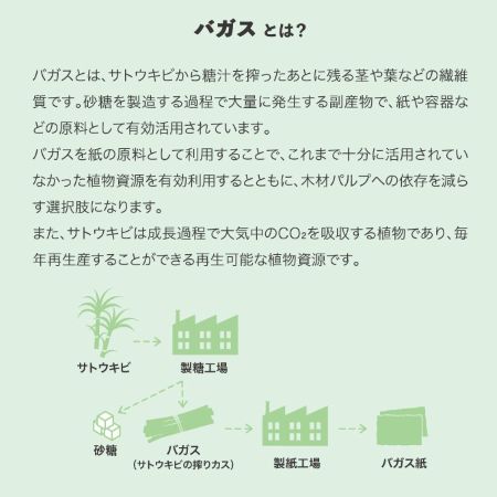 バガスとは