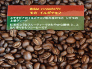 モカ　イルガチェフ