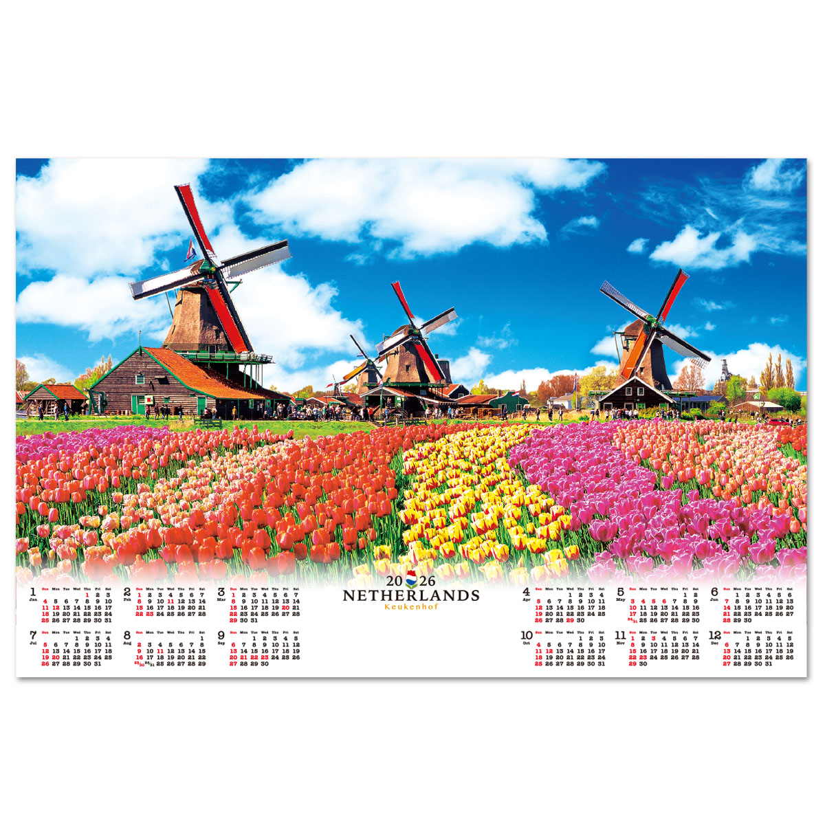 【FU-23】不織布 FU-23 オランダ・キューケンホフノチューリップ畑