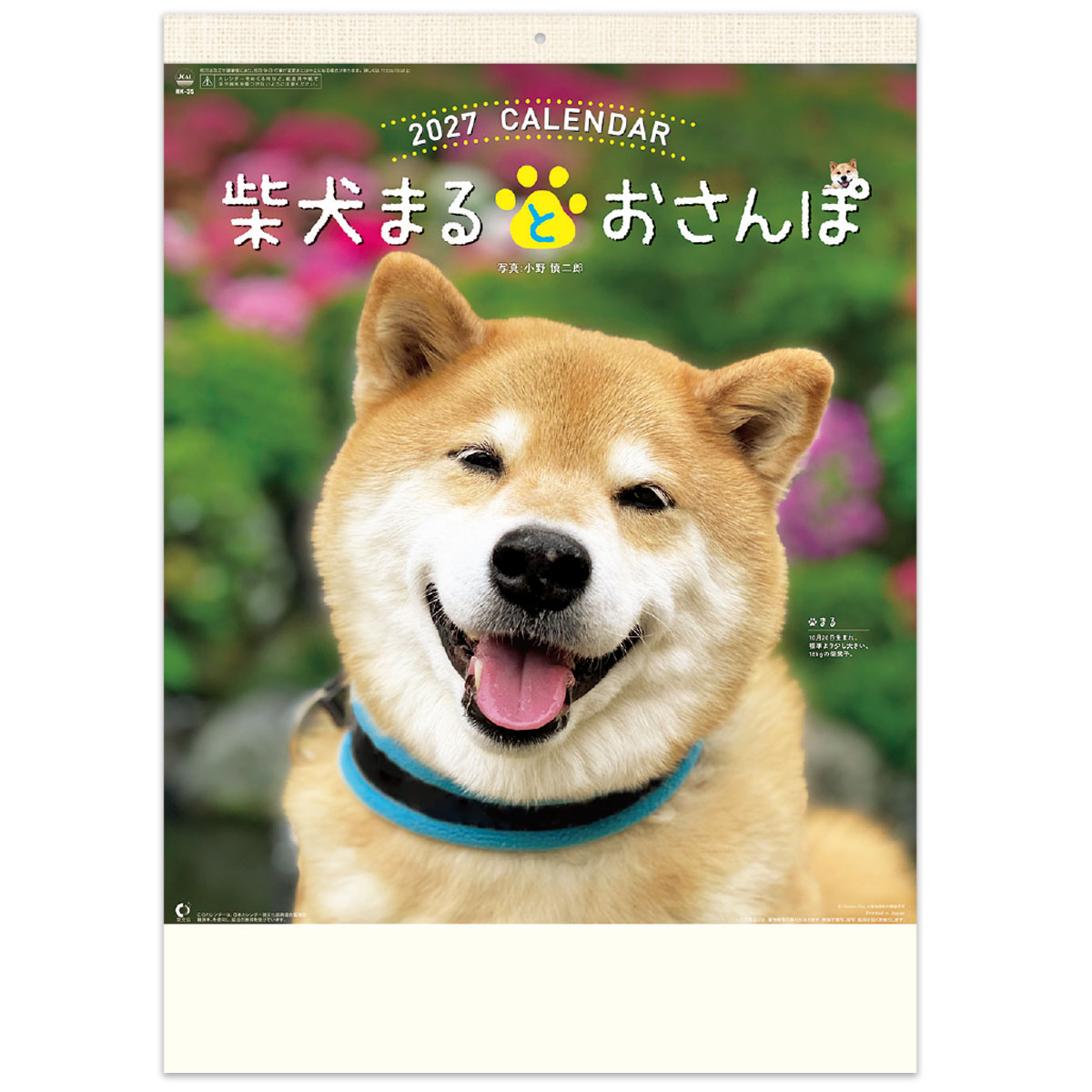 【NK-35】柴犬まるとおさんぽカレンダー