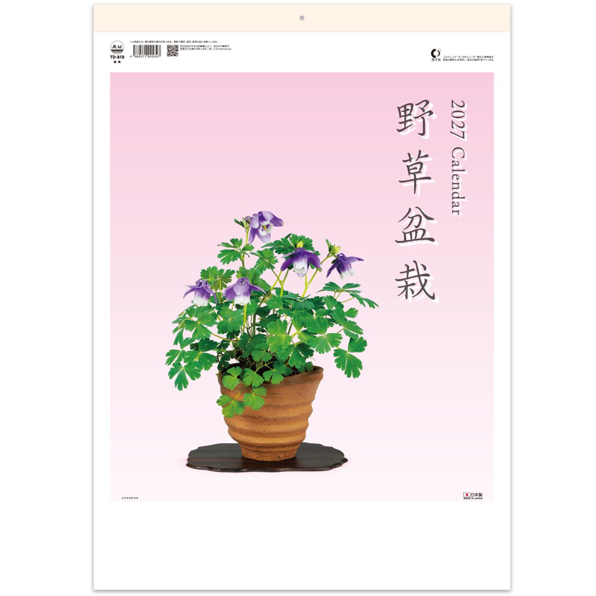 【TD-819】野草盆栽