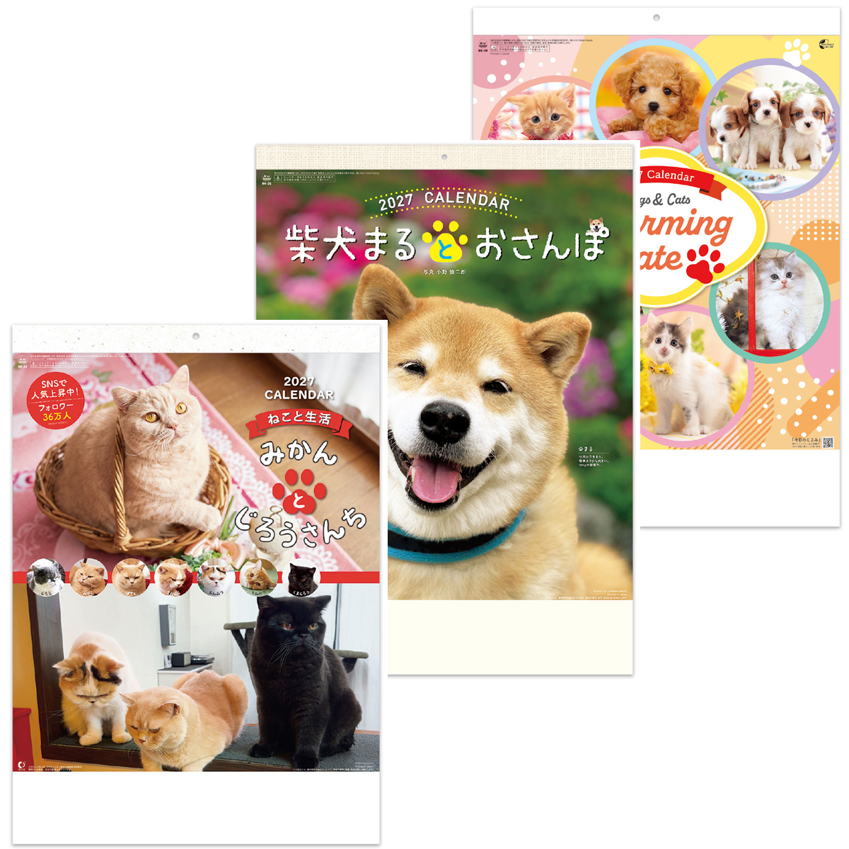 【AST2705】壁掛_動物セット（各30冊×3種）