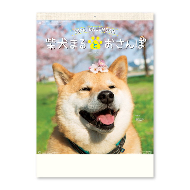【NK-35】月表 NK-35 柴犬まるとおさんぽカレンダー