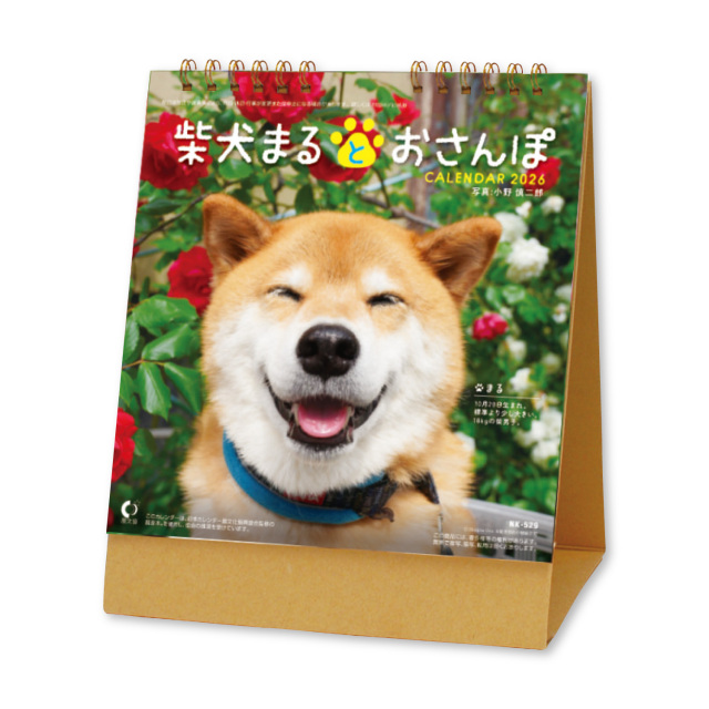 【NK-529】卓上 NK-529 柴犬まるとおさんぽ