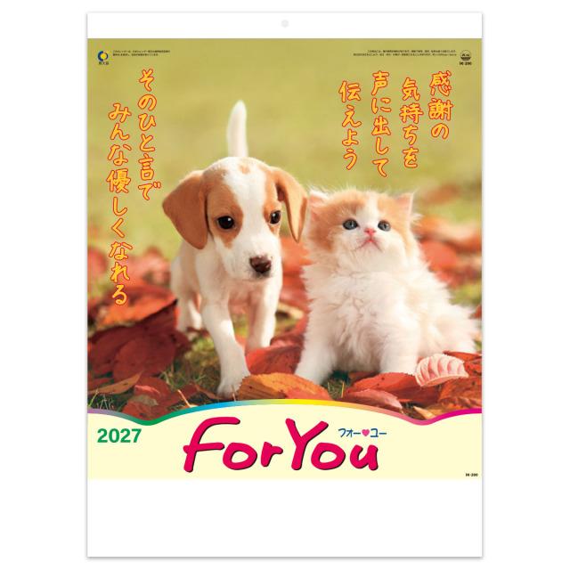 【IC-200】ＦＯＲ ＹＯＵ （フォー・ユー)