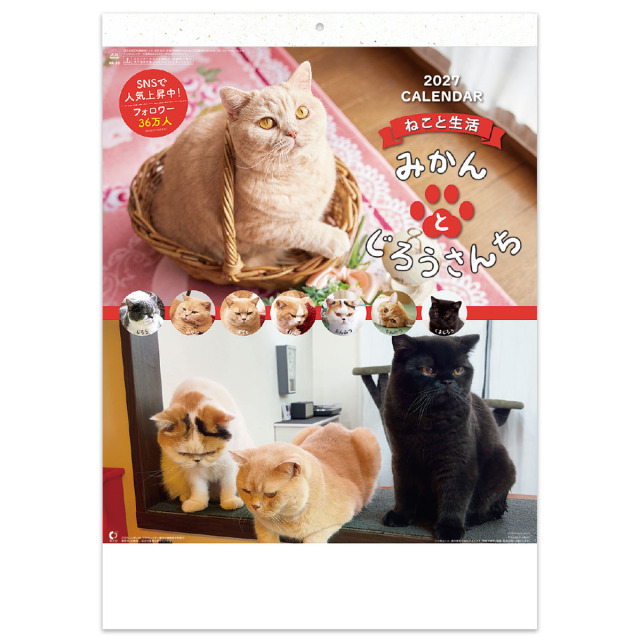 ■【NK-33】ねこと生活　みかんとじろうさんちカレンダー