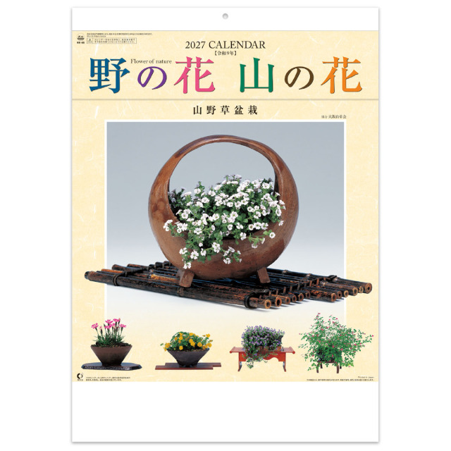 【NK-46】野の花・山の花（山野草盆栽集）