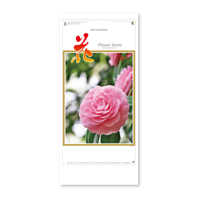 【NK-494】花