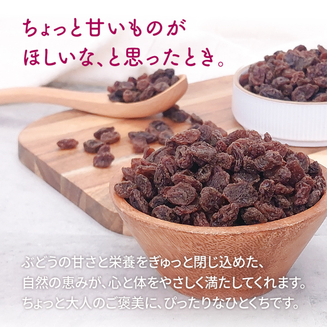 野菜　果物　干し葡萄　乾燥器　業務用 野菜 果物 干し葡萄 乾燥器 業務用