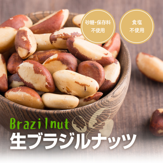 生ブラジルナッツ 500g アマゾンの恵み 産地直輸入 食塩不使用 添加物