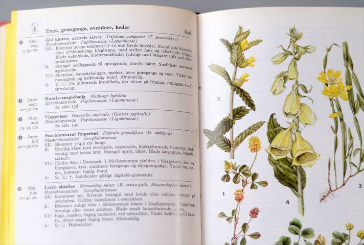 デンマークのイラスト植物図鑑 北欧やヨーロッパの植物誌 洋書 Lademanns naturforer アンティークブック ディスプレイ 古書