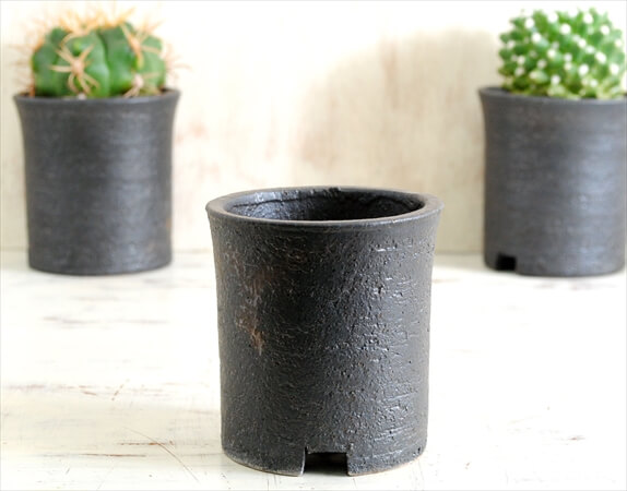 信楽焼 寸胴鉢 3号 陶器鉢 植木鉢 おしゃれ サボテン 塊根植物 コーデックス アガベ 多肉植物に