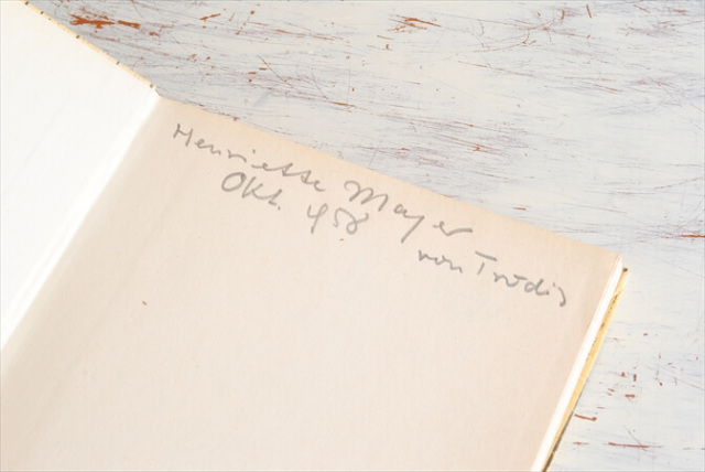 ドイツ インゼル文庫 アソート Insel アンティークブック 洋書 古書 ディスプレイ 撮影小物