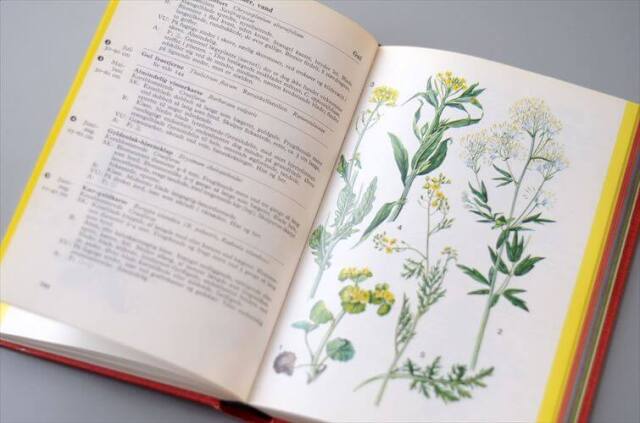 デンマークのイラスト植物図鑑 北欧やヨーロッパの植物誌 洋書 Lademanns naturforer アンティークブック ディスプレイ 古書