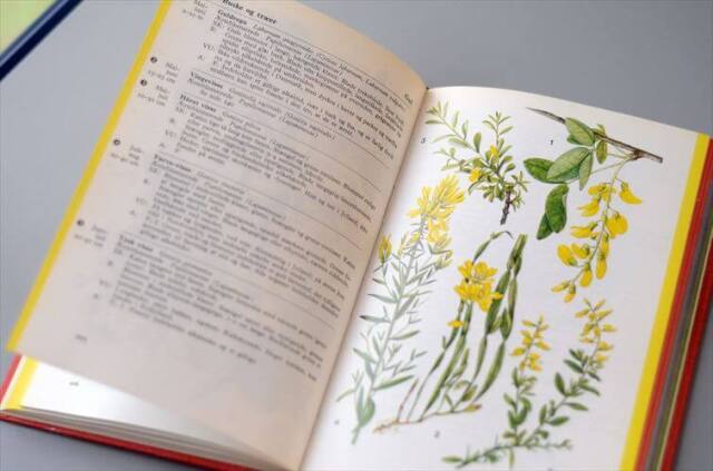 デンマークのイラスト植物図鑑 北欧やヨーロッパの植物誌 洋書 Lademanns naturforer アンティークブック ディスプレイ 古書