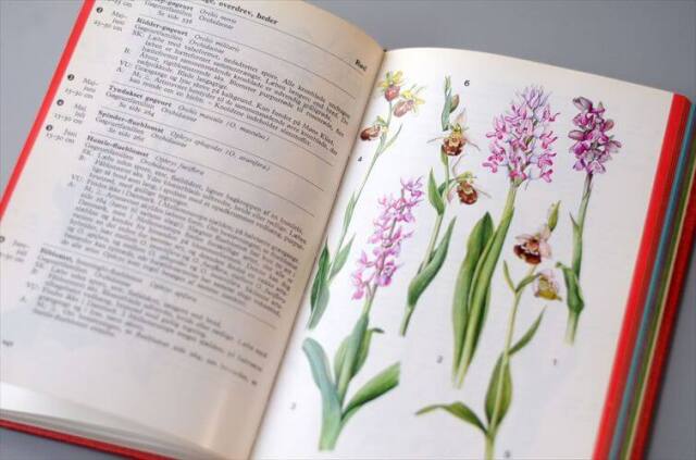 デンマークのイラスト植物図鑑 北欧やヨーロッパの植物誌 洋書 Lademanns naturforer アンティークブック ディスプレイ 古書