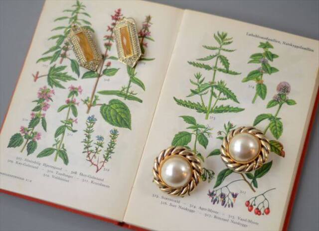 デンマークのイラスト植物図鑑 北欧やヨーロッパの植物誌 洋書 Flora I