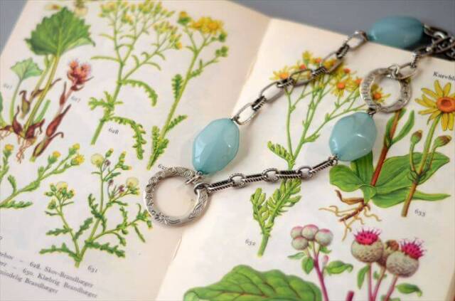 デンマークのイラスト植物図鑑 北欧やヨーロッパの植物誌 洋書 Flora I Farver アンティークブック ディスプレイ 古書