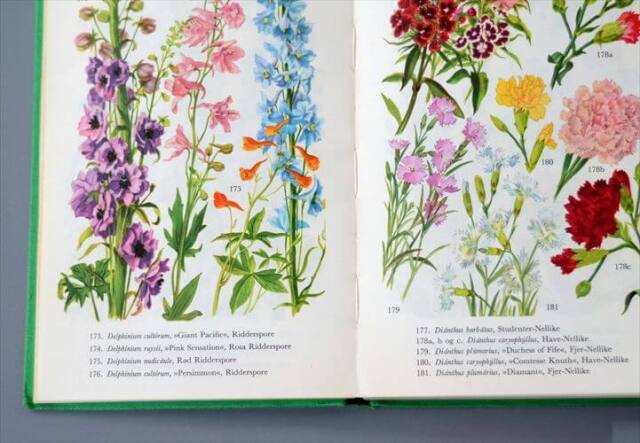 デンマークのイラストお花の図鑑 北欧やヨーロッパの花・植物誌 洋書 Havens Blomster アンティークブック ディスプレイ 古書