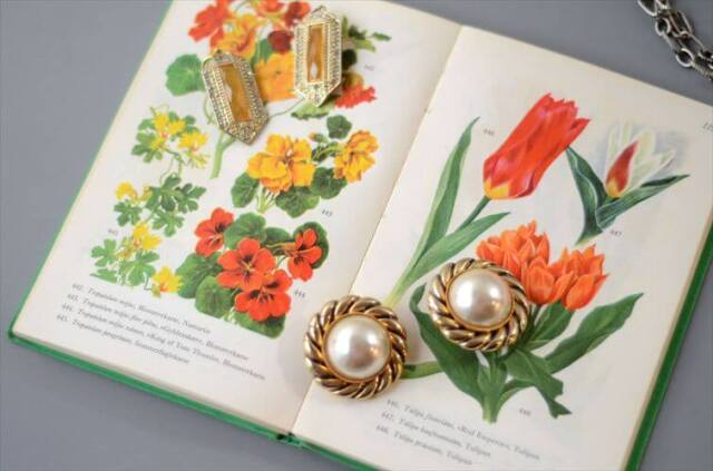 デンマークのイラストお花の図鑑 北欧やヨーロッパの花・植物誌 洋書 Havens Blomster アンティークブック ディスプレイ 古書