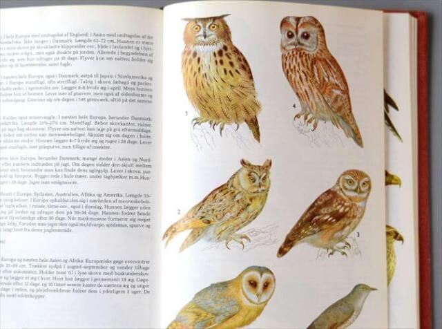 デンマークのイラスト動物・植物図鑑 北欧やヨーロッパの生物誌 洋書 Lademanns naturforer アンティークブック ディスプレイ 古書