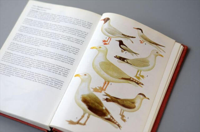 デンマークのイラスト動物・植物図鑑 北欧やヨーロッパの生物誌 洋書 Lademanns naturforer アンティークブック ディスプレイ 古書