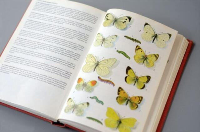 デンマークのイラスト動物・植物図鑑 北欧やヨーロッパの生物誌 洋書 Lademanns naturforer アンティークブック ディスプレイ 古書