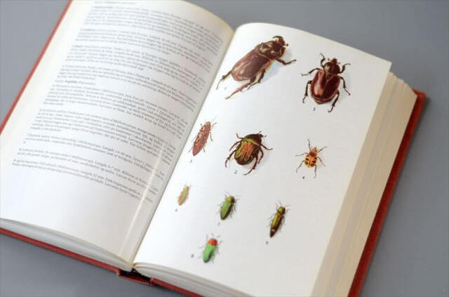 デンマークのイラスト動物・植物図鑑 北欧やヨーロッパの生物誌 洋書 Lademanns naturforer アンティークブック ディスプレイ 古書