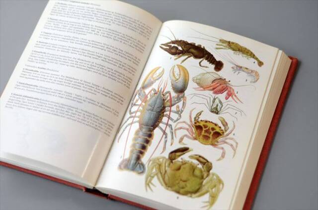 デンマークのイラスト動物・植物図鑑 北欧やヨーロッパの生物誌 洋書 Lademanns naturforer アンティークブック ディスプレイ 古書