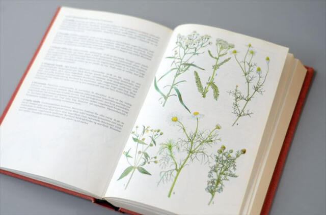 デンマークのイラスト動物・植物図鑑 北欧やヨーロッパの生物誌 洋書 Lademanns naturforer アンティークブック ディスプレイ 古書