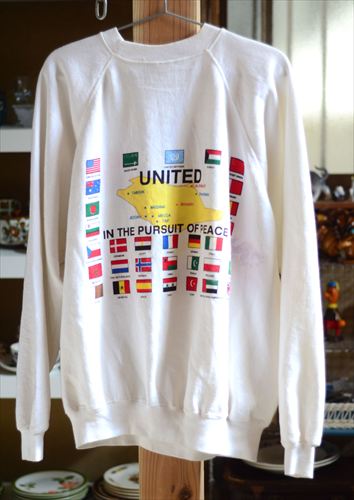 USA製 90年代 かわいい砂漠と国旗の両面プリント スウェット XL HANESボディ ミリタリー 古着 ヴィンテージ