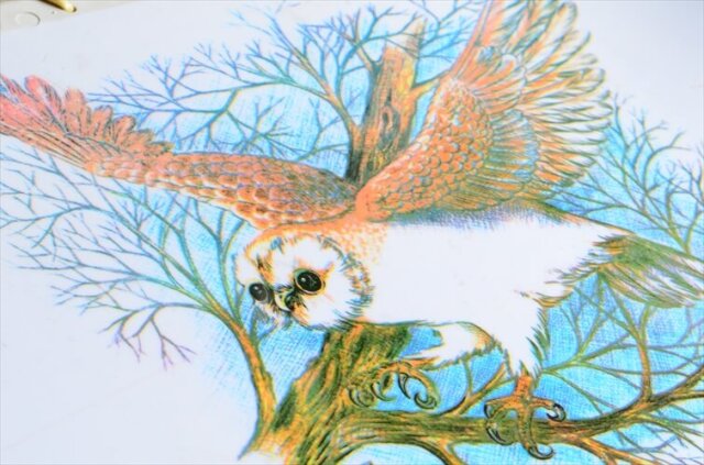 訳あり イングランドから フクロウの絵付けのマガジンラック 英国 イギリス 什器 ヴィンテージ アンティーク