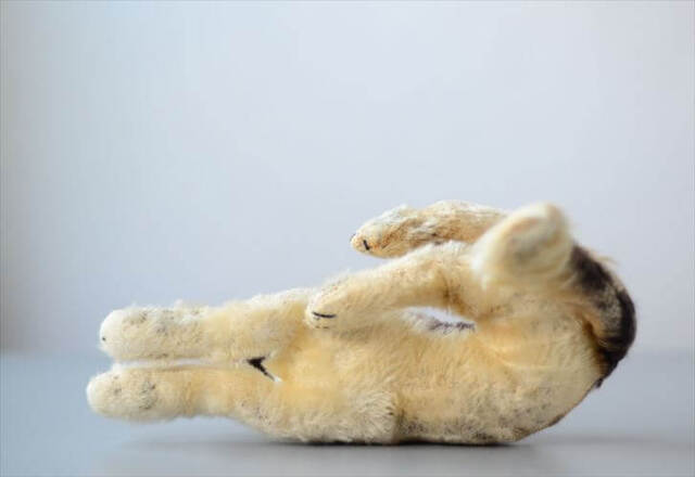 1960-70年代 ドイツ製 Steiff くつろぐシェパード シュタイフ ぬいぐるみ ジャーマンシェパード アンティーク ヴィンテージ