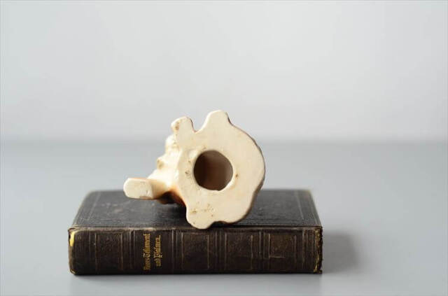 イングランドから セントバーナードらしき子犬 磁器 オブジェ イヌ 犬