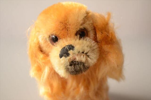 1953-76年代 ドイツ製 Steiff イヌ Pekinese Peky ぬいぐるみ シュタイフ ドール フィギュア アンティーク ヴィンテージ_250606