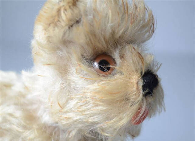 1954-1970年 ドイツ製 Steiff 犬 schnauzer tessie シュナウザー