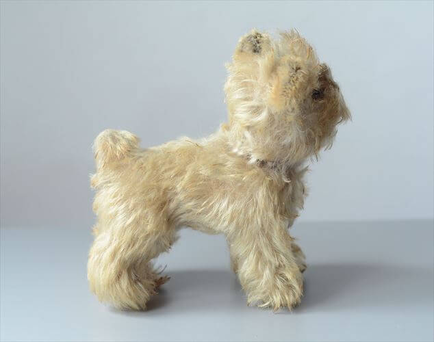 1954-1970年 ドイツ製 Steiff 犬 schnauzer tessie シュナウザー