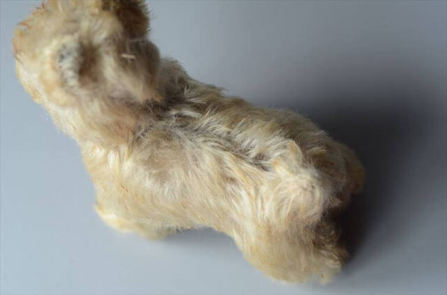 【シュナイザー Tessie テッシィー】ヴィンテージ シュタイフ アンティーク シュタイフ シュナウザー Steiff Tessie 10cm