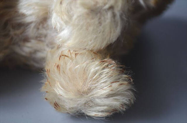 ドイツ製 Steiff 犬 schnauzer tessie シュナウザー ぬいぐるみ シュタイフ ドール フィギュア アンティーク ヴィンテージ_251010